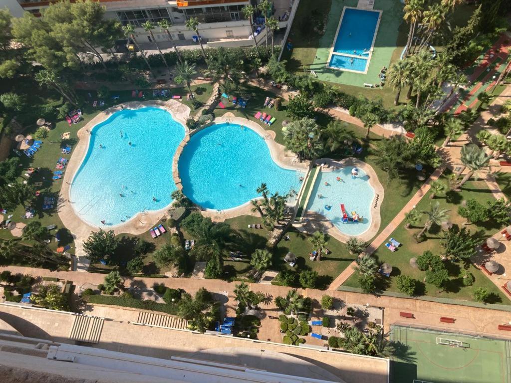 Rascacielo Bonito Mirando Al Mar Lejlighed Benidorm Eksteriør billede