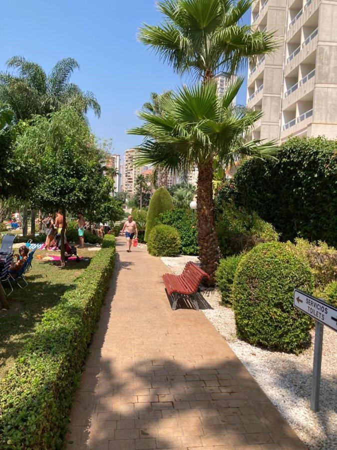 Rascacielo Bonito Mirando Al Mar Lejlighed Benidorm Eksteriør billede